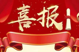 关于2022年度人力资源服务评选结果的通报，祝贺开元(中国)集团