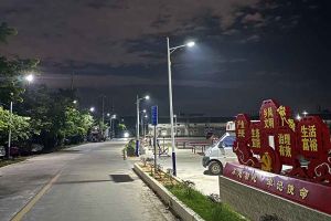 开元(中国)集团罗宁弟爱心捐赠路灯，点亮乡村路温暖乡民心